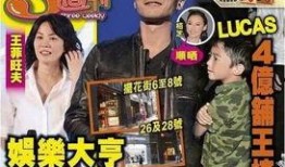 奖门人谢霆锋爆料视频播放,独家爆料视频引热议